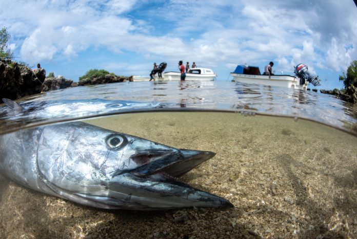 Ocean decline