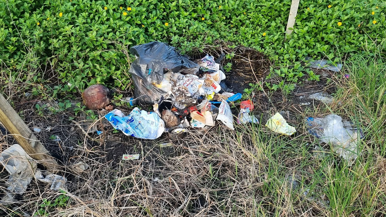 Waste