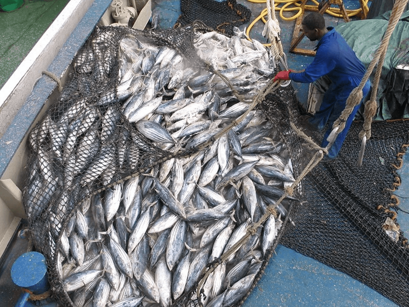 fisheries