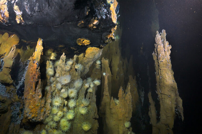 vents