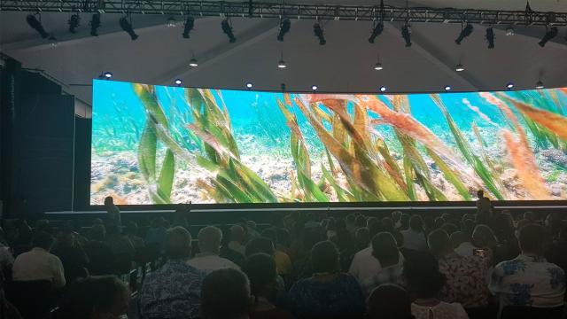 our ocean