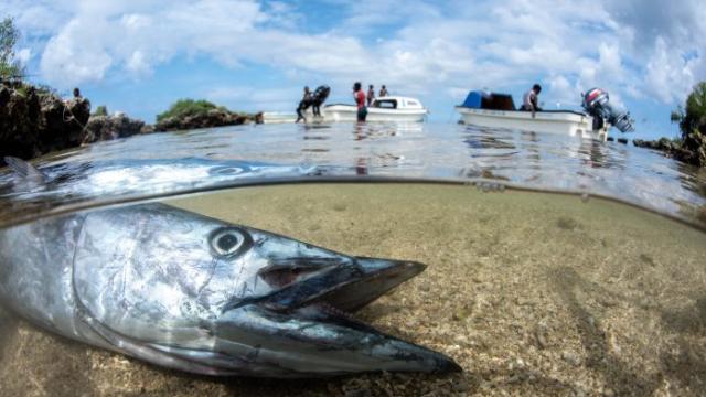 Ocean decline