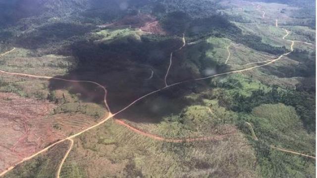 solomon logging