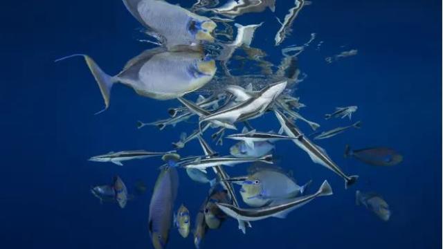 deep sea