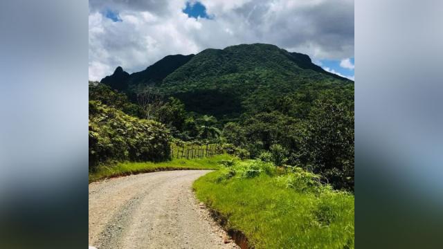 Fiji mining
